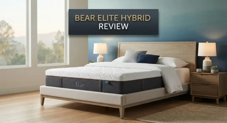 Bear Elite Hybrid Mattress Review: Should You Try This?
